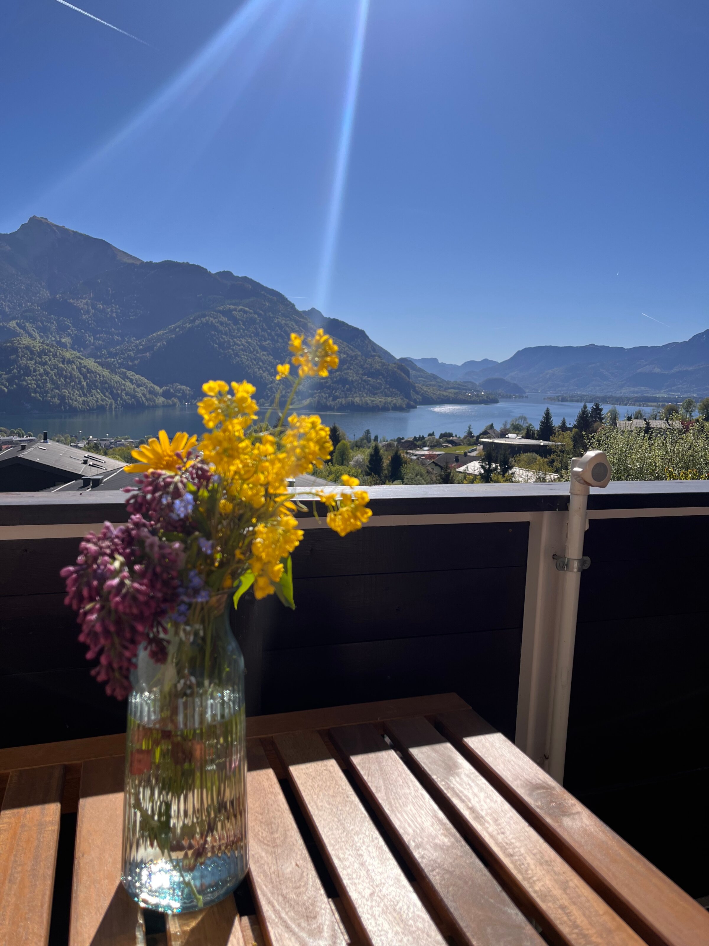 A Place with a View | © Bernhard Strasser