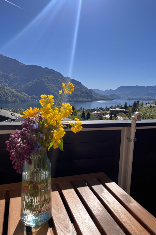 A Place with a View | © Bernhard Strasser