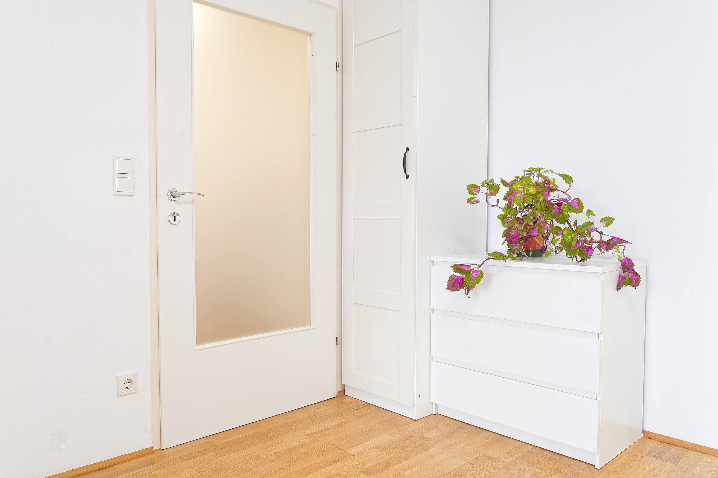 Tür vom Wohnzimmer in den Vorraum