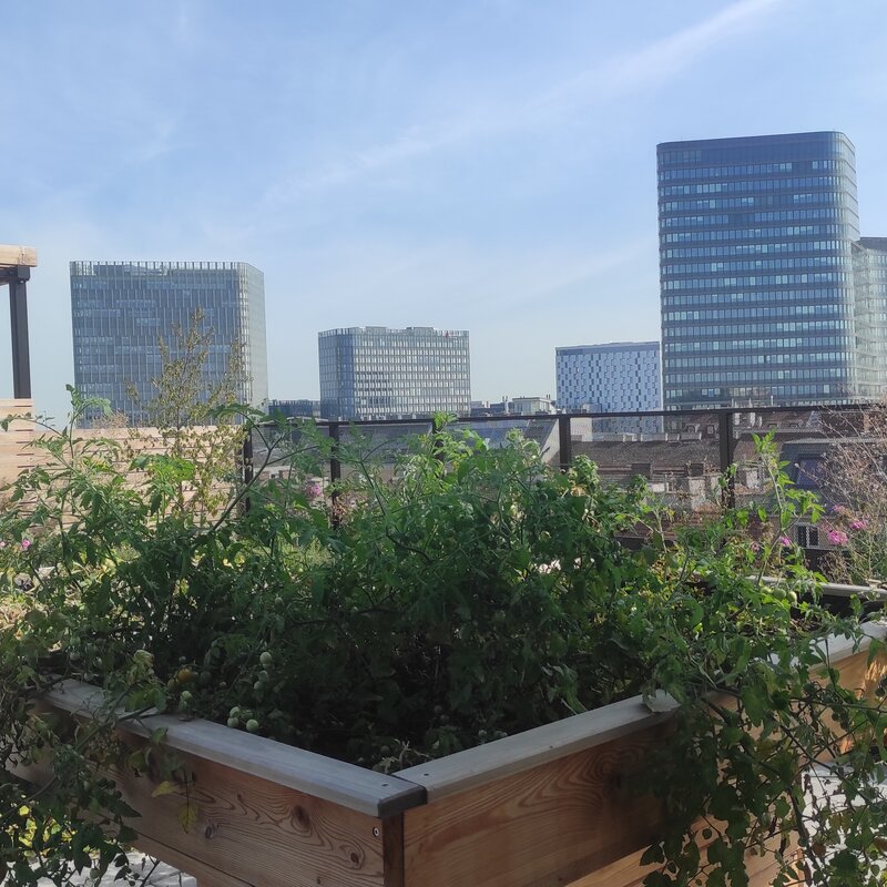 Gemeinschaftliche Dachterrasse mit Weitblick über die Stadt – ideal zum Entspannen und Verweilen. | © Greta Stoyanova