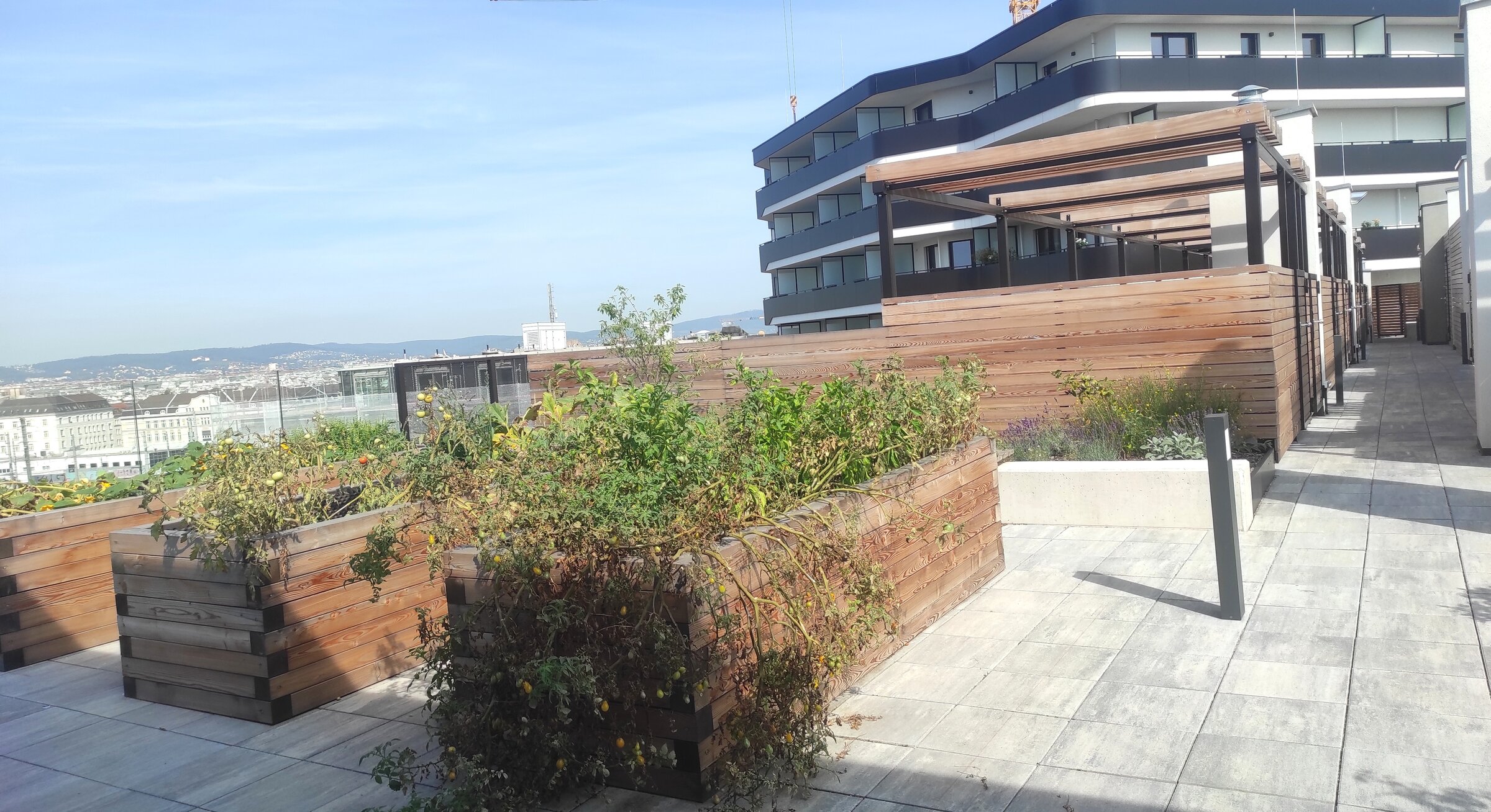 Großzügige, gemeinschaftliche Dachterrasse mit Weitblick über die Stadt und angenehmen Aufenthaltsbereichen. | © Greta Stoyanova