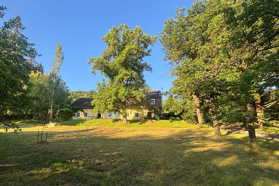 Der Garten | © Markus P. Swittalek