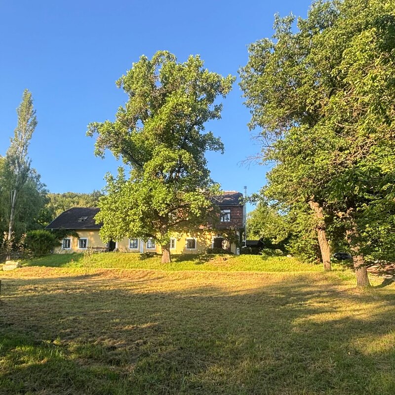 Garten | © Markus P. Swittalek