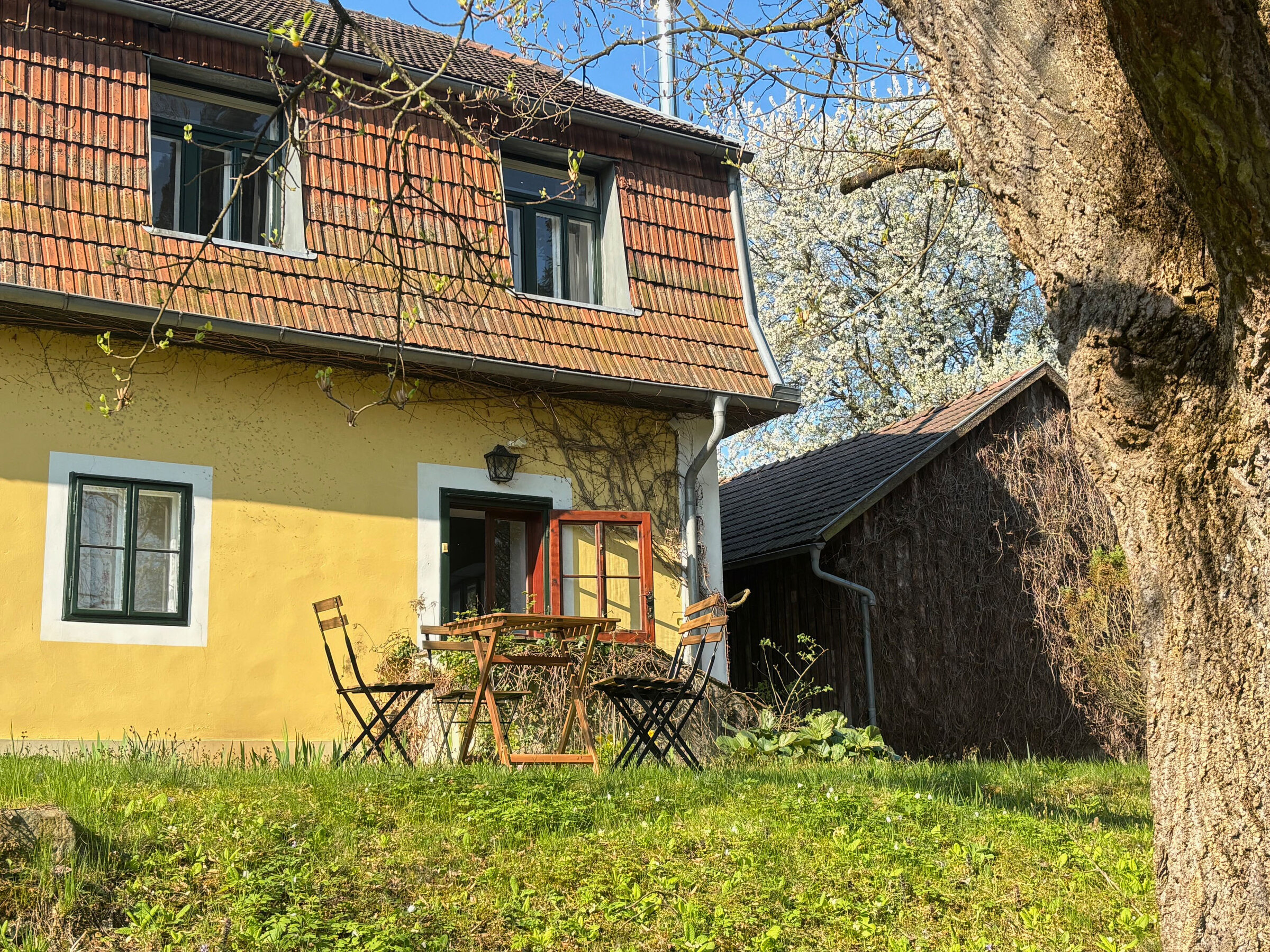 Garten mit Sitzplatz | © Markus P. Swittalek