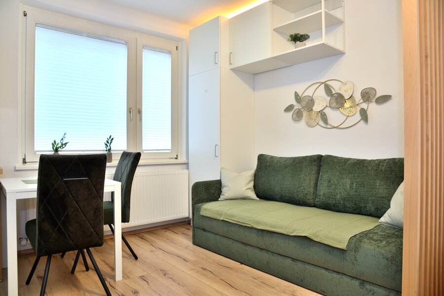 Living and Dining Area