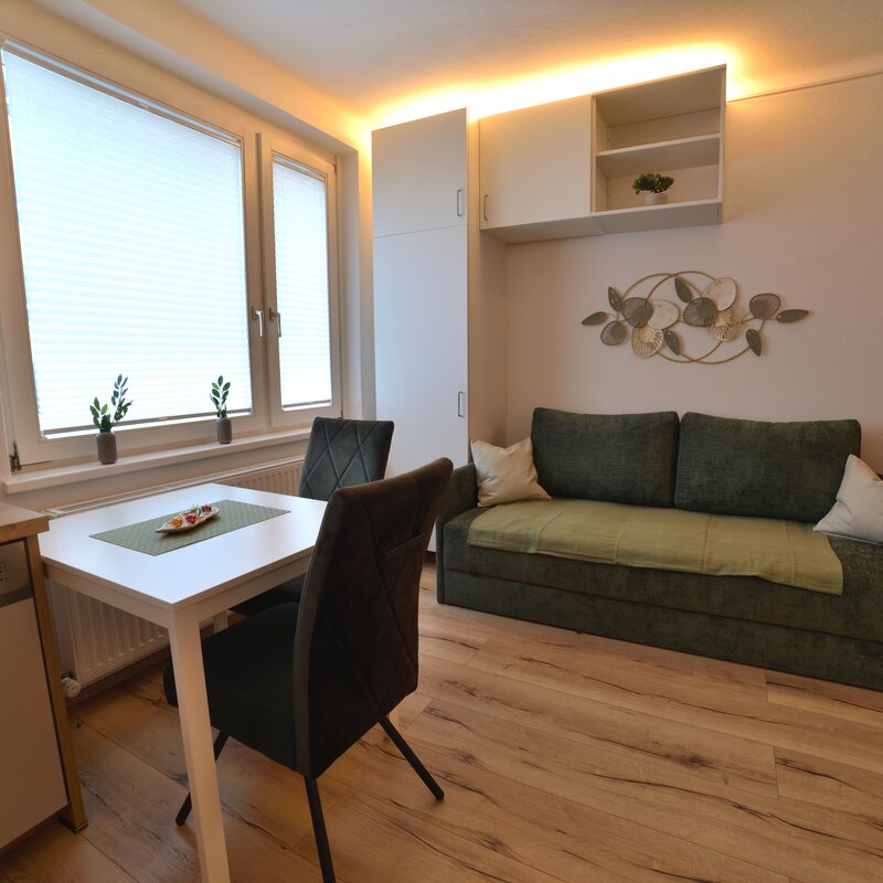 Living and Dining Area