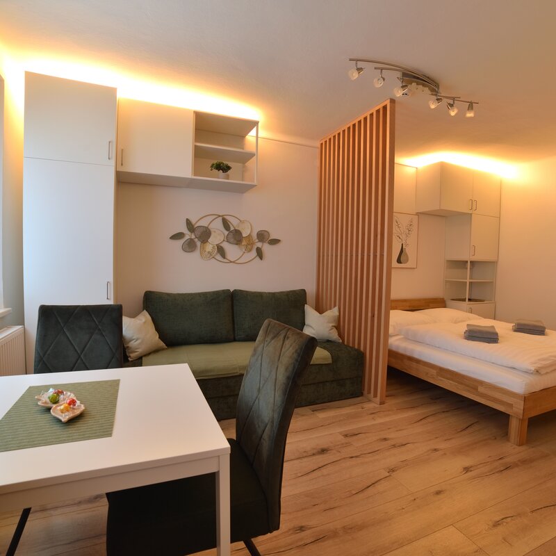 Living and Dining Area