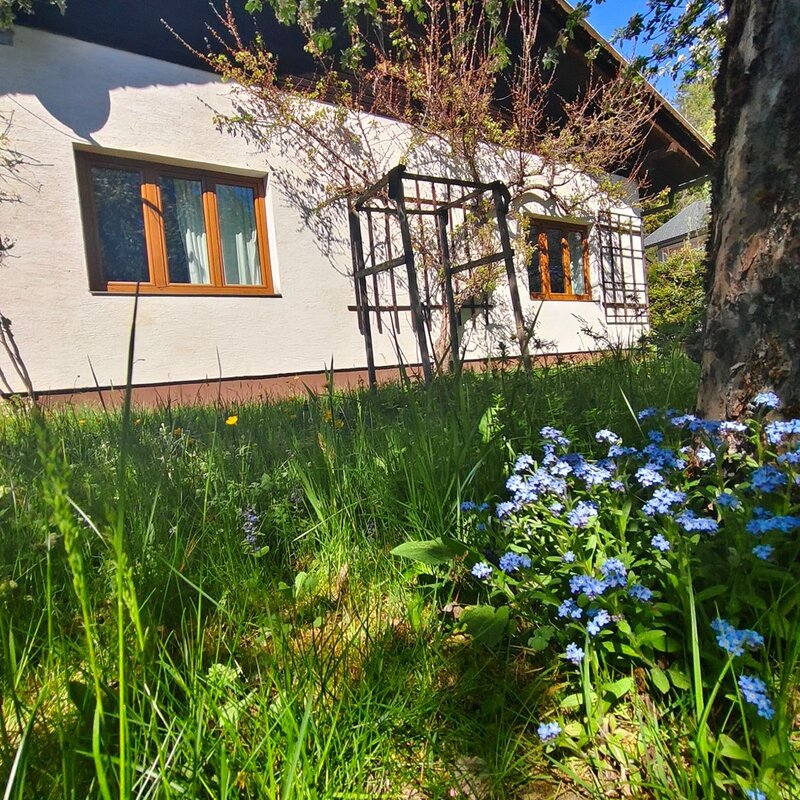 Südansicht  | © Ulrike Oberbucher