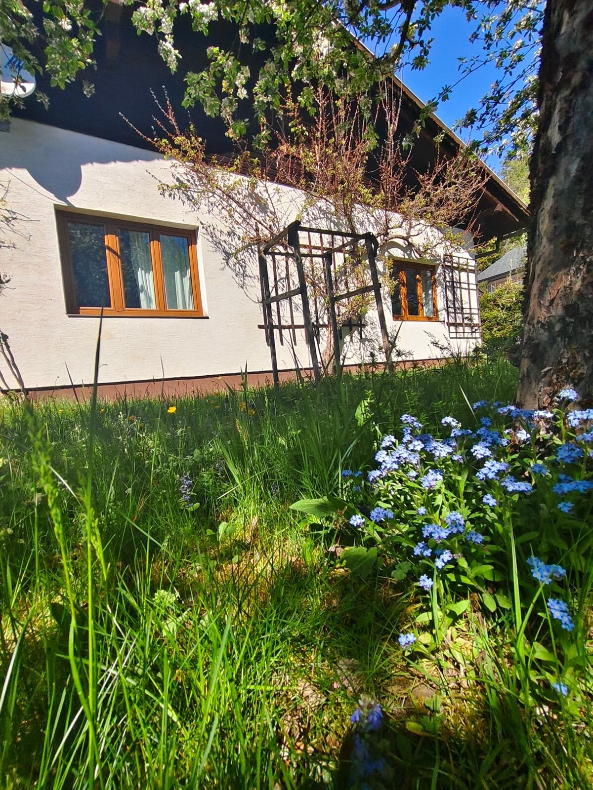 Südansicht  | © Ulrike Oberbucher