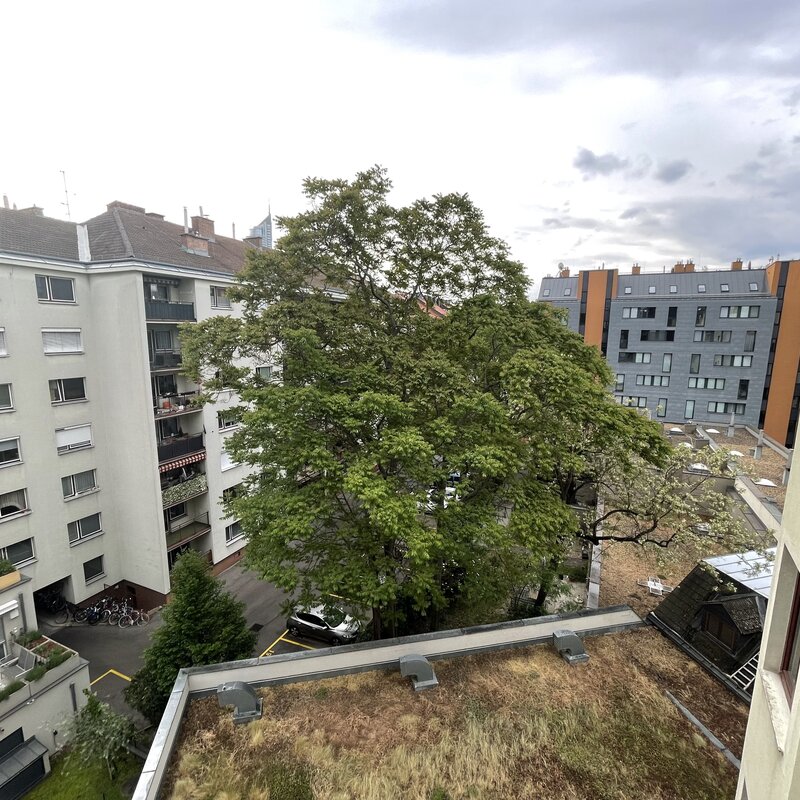 Ausblick in den Innenhof