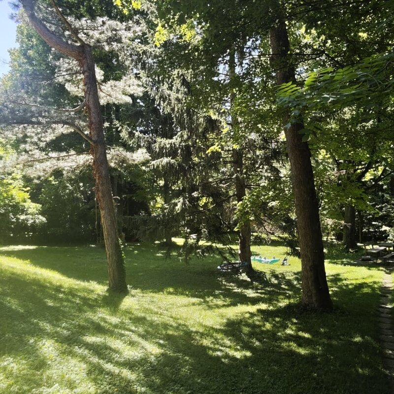 View into the garden | © Uh