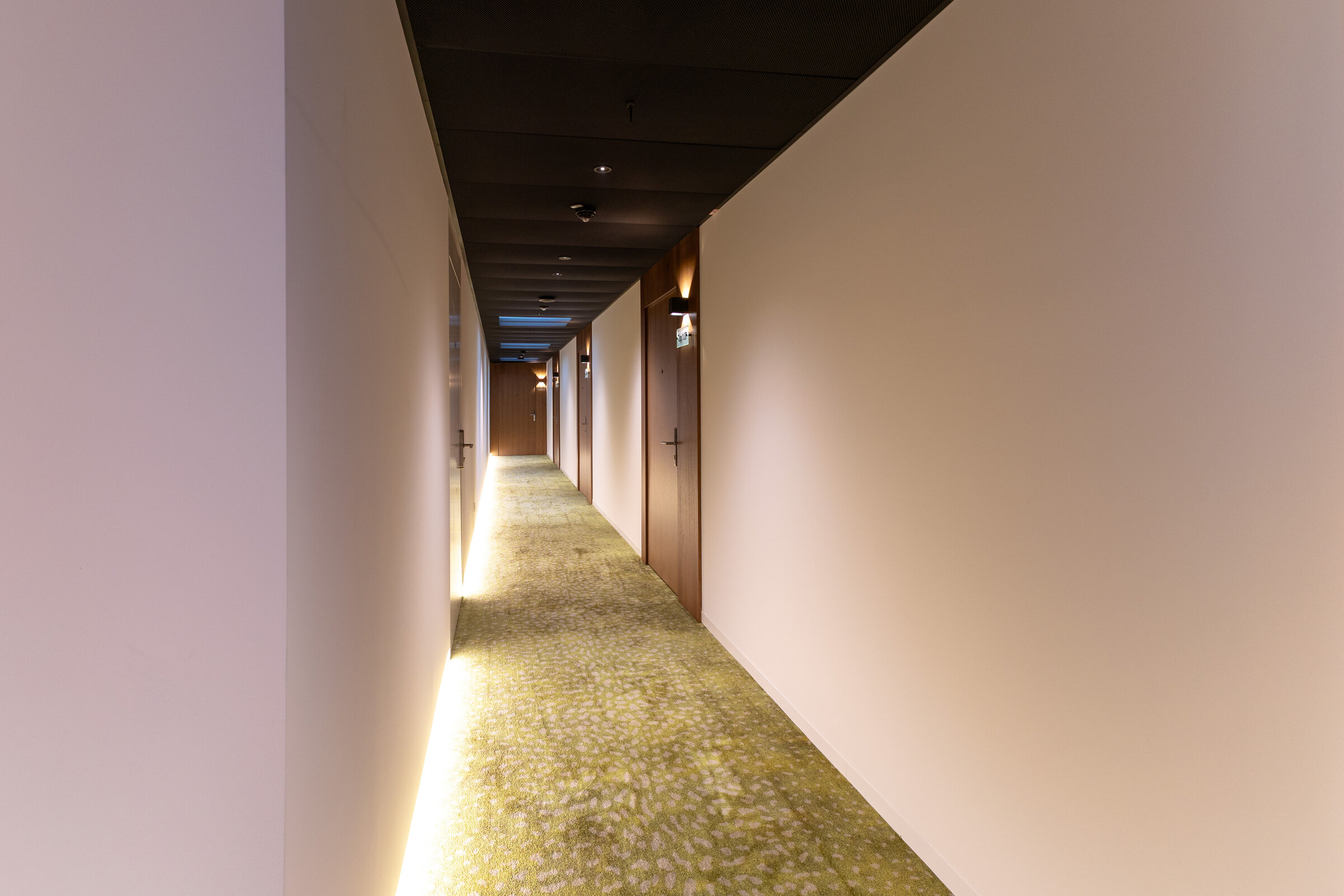 Hallway to Apartments