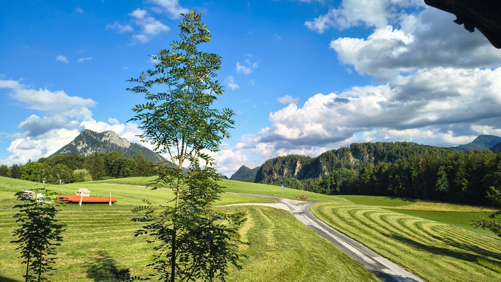 Grüne Alpenlandschaft mit Bergblick: 3-Zimmer Wohnung, Kurzzeitmiete & Wohnen auf Zeit für 1 bis 6 Monate in Thalgau