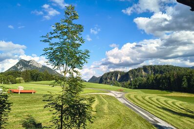 Grüne Alpenlandschaft mit Bergblick: 3-Zimmer Wohnung, Kurzzeitmiete & Wohnen auf Zeit für 1 bis 6 Monate in Thalgau