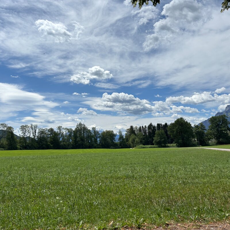 Surrounding Area | © FF