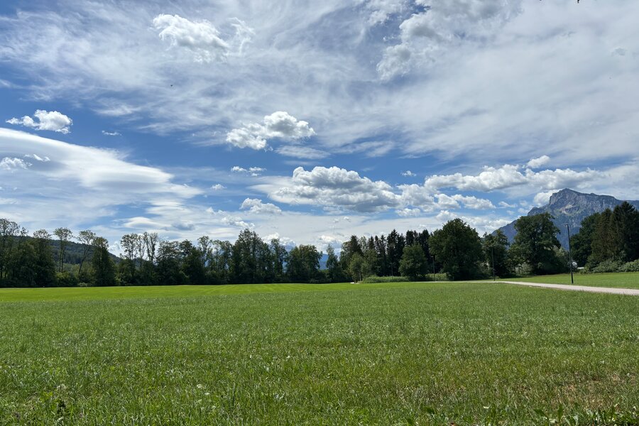 Surrounding Area | © FF
