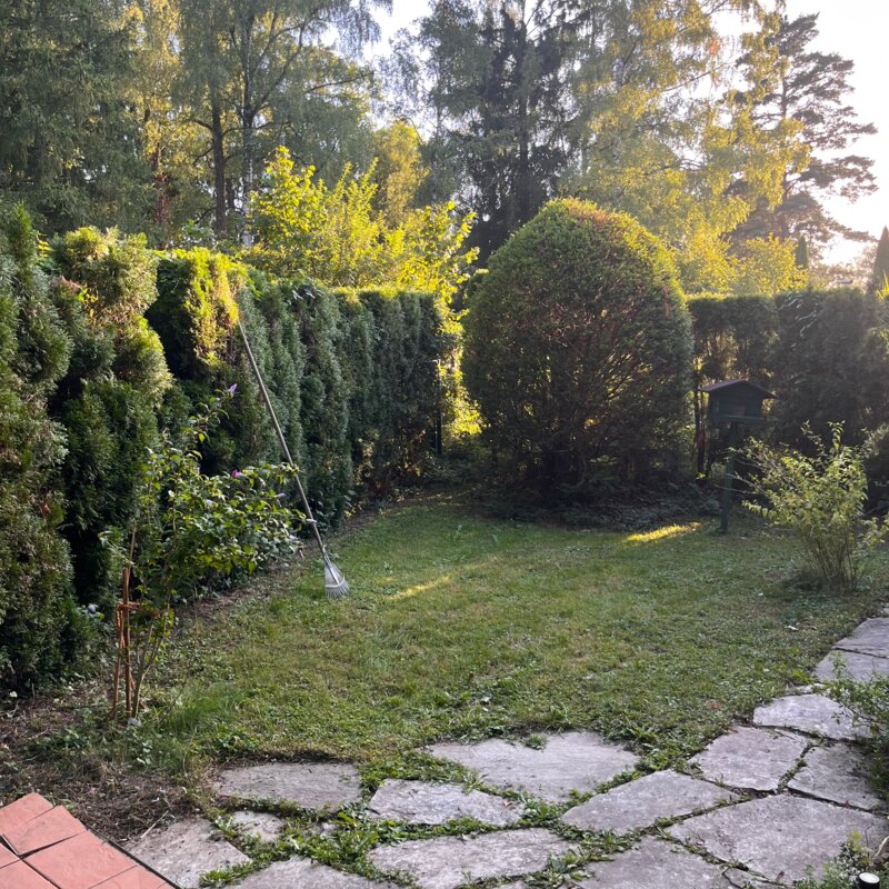garden 1