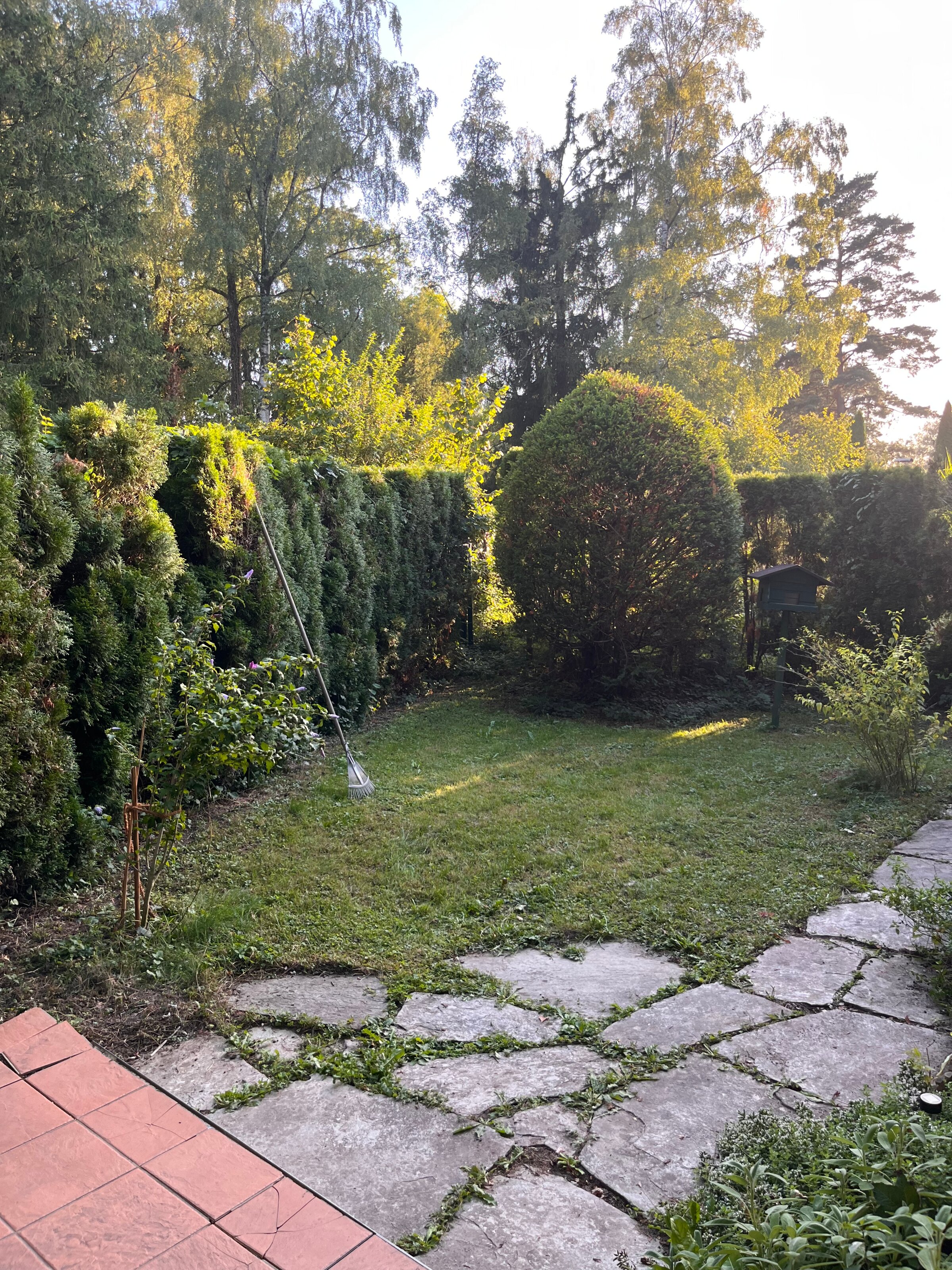 garden 1