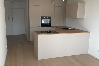 Bright 2-room apartment with open kitchen & wood floors – short-term rental Salzburg, temporary housing for 1 to 6 months