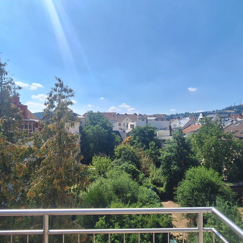 Blick von der Terrasse