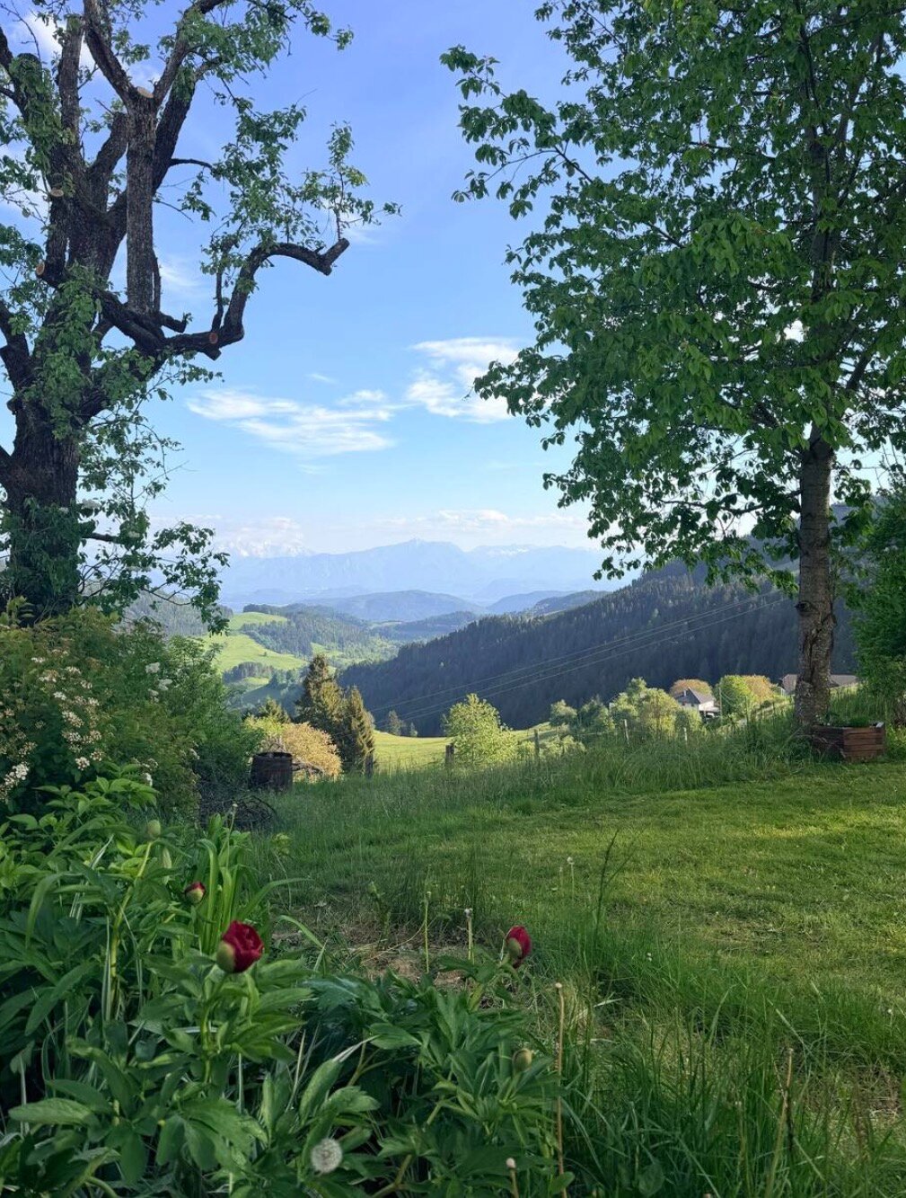 Grüne Wiesen, Berge & Natur: 2-Zimmer Apartment zur Kurzzeitmiete – Wohnen auf Zeit für 1 bis 6 Monate in Brückl