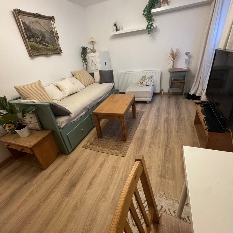 Livingroom/Sleepingbed