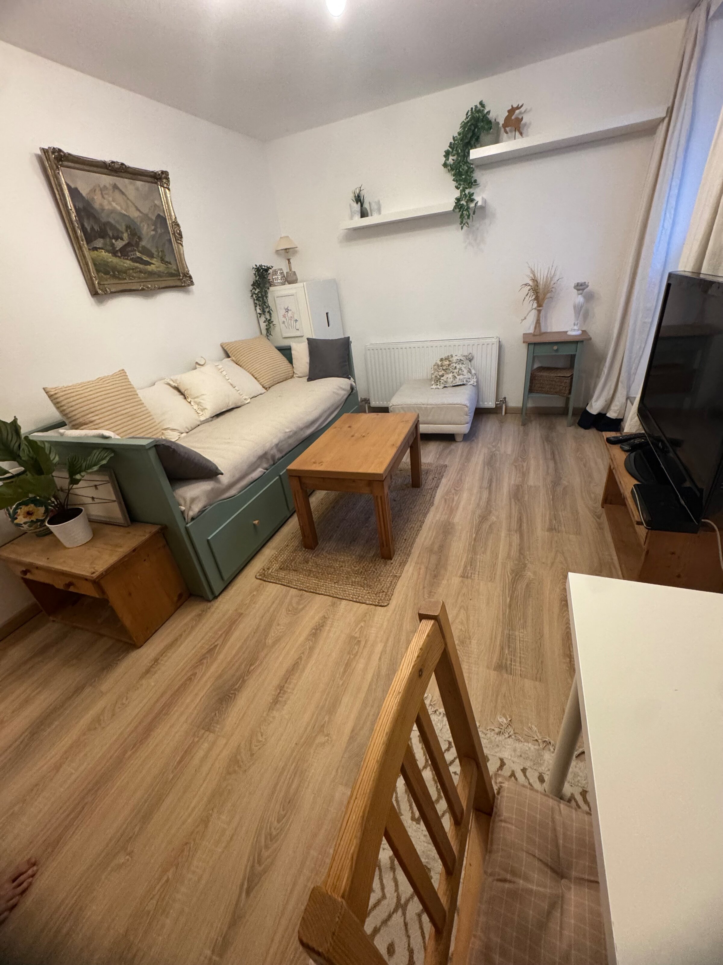 Livingroom/Sleepingbed