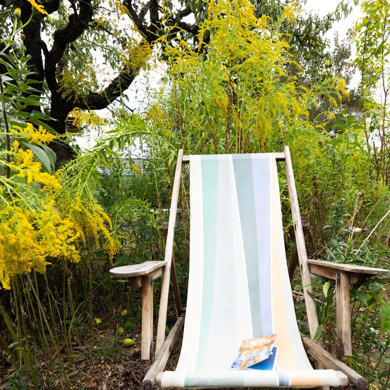 garden | © Alessandra Dorigato