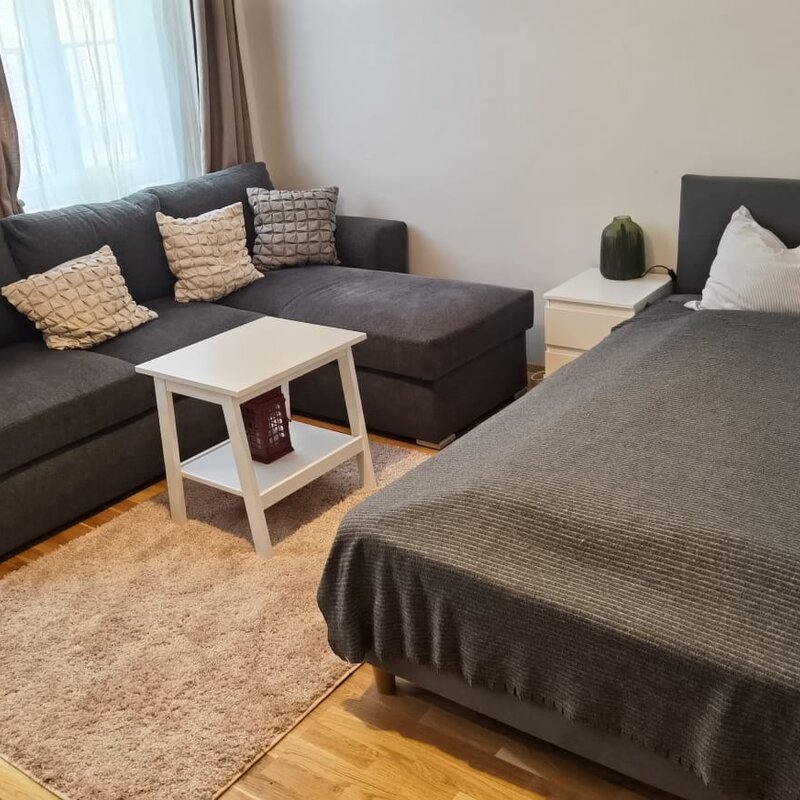 gemütliches Wohnzimmer mit Bett und Schlafsofa
