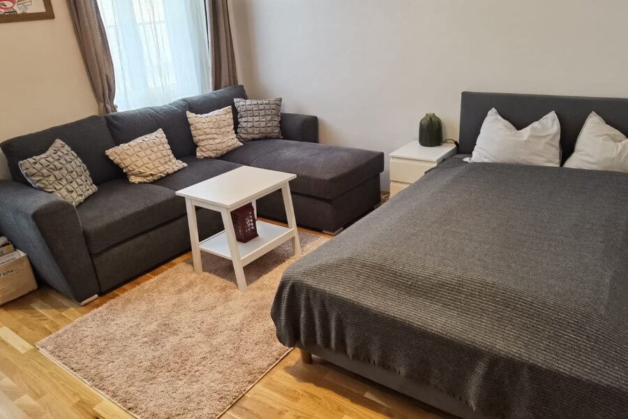 gemütliches Wohnzimmer mit Bett und Schlafsofa