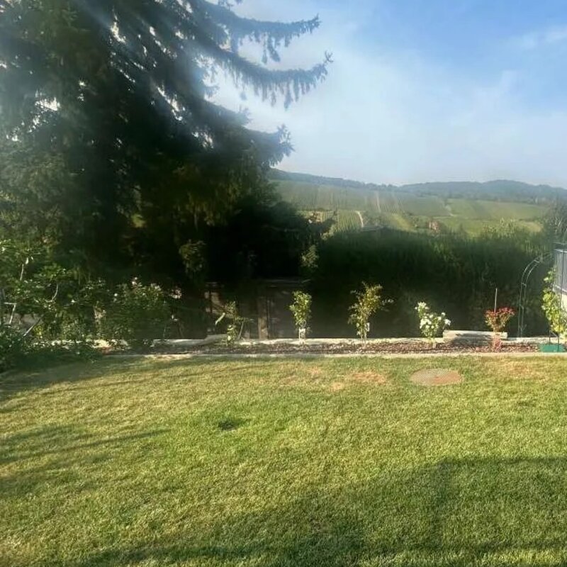 Blick auf Garten und Weinberge