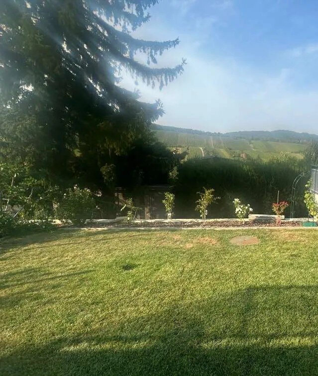 Blick auf Garten und Weinberge