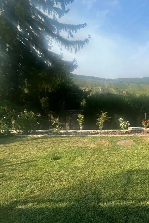 Blick auf Garten und Weinberge