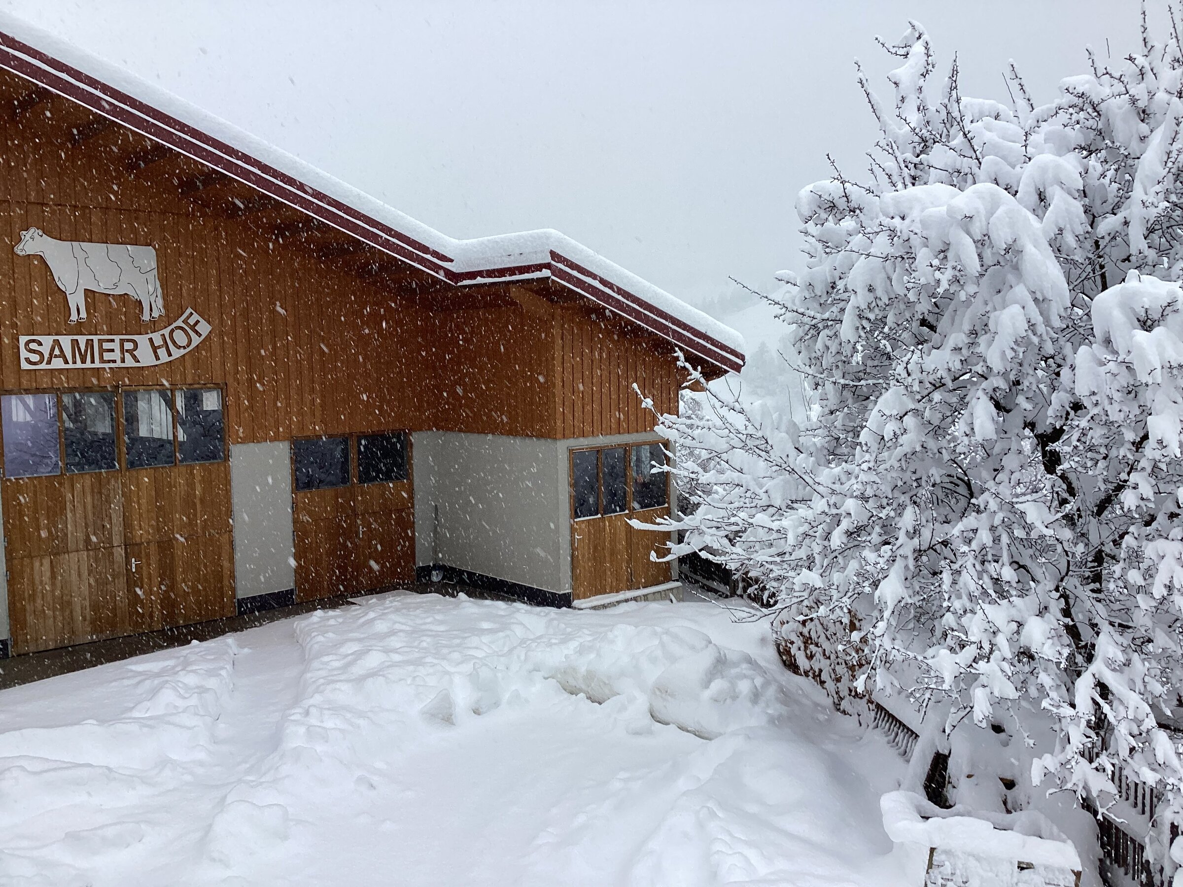Die Aussicht auf den Hof