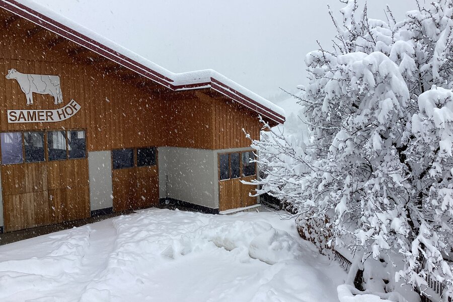 Die Aussicht auf den Hof