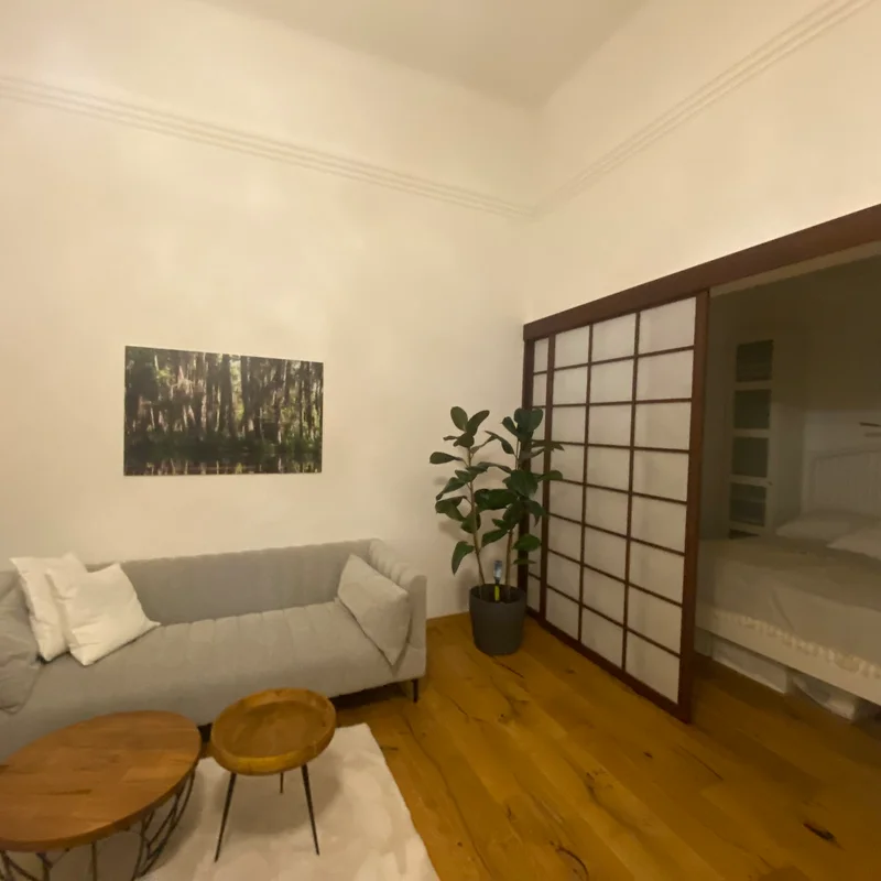 Wohnzimmer / Schlafbereich