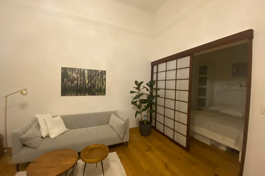 Wohnzimmer / Schlafbereich