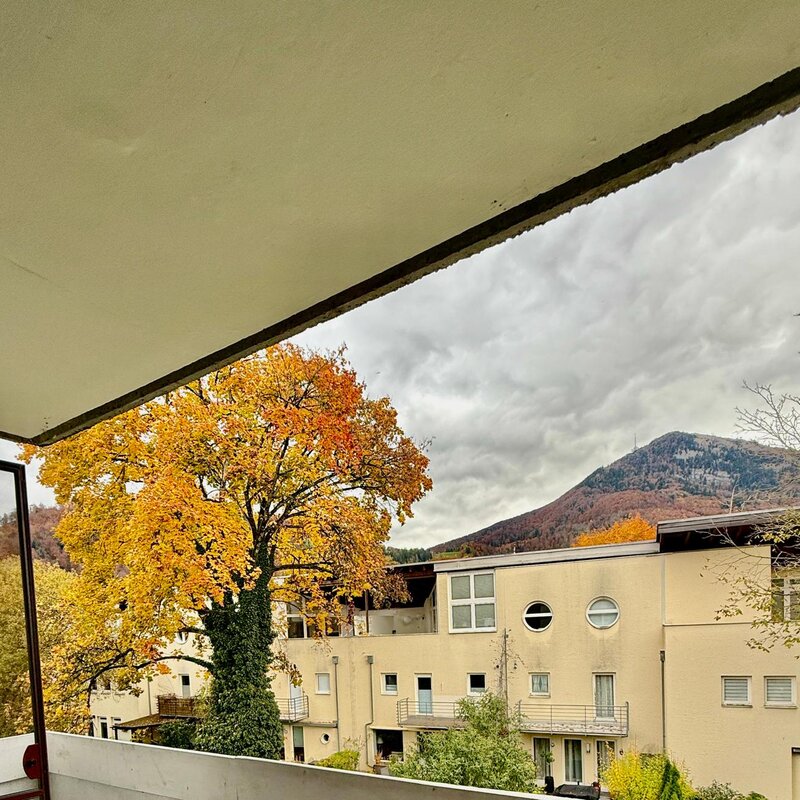 Balcony with mountain view & autumn tree – 1-room apartment for short-term rental & temporary housing for 1 to 6 months in Salzburg