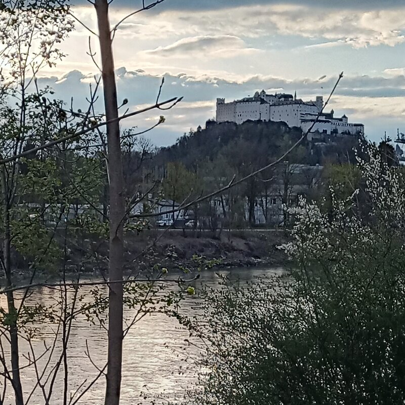Salzach River Banks next to the estate | © UHG
