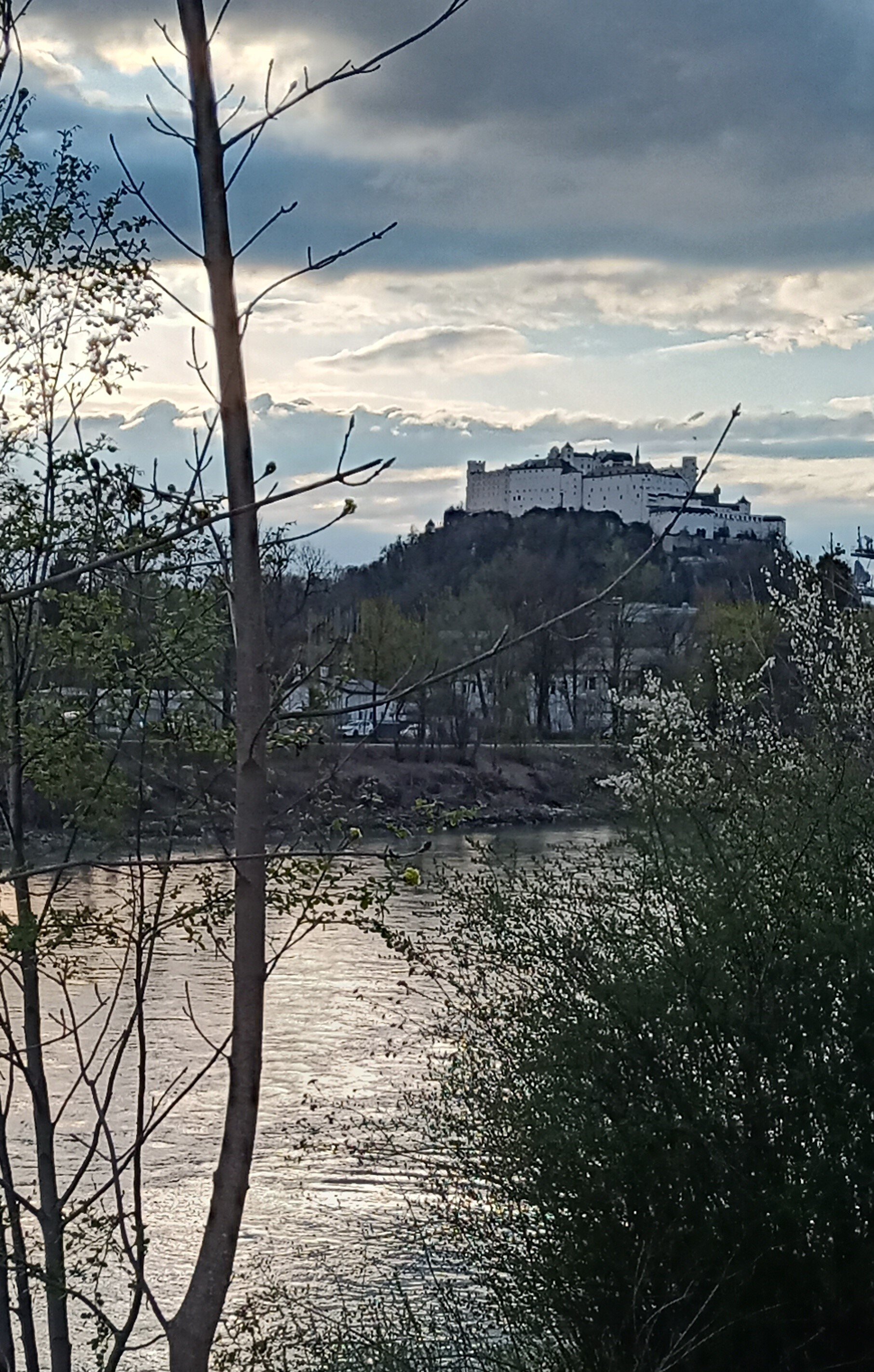 Salzach River Banks next to the estate | © UHG