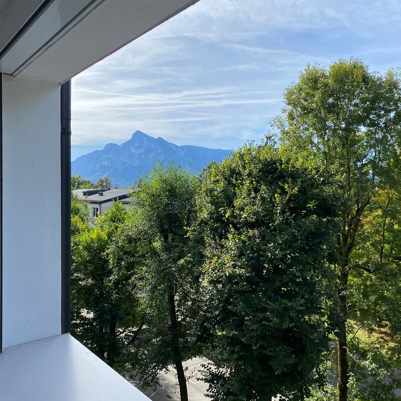 Untersberg und Baumkronen