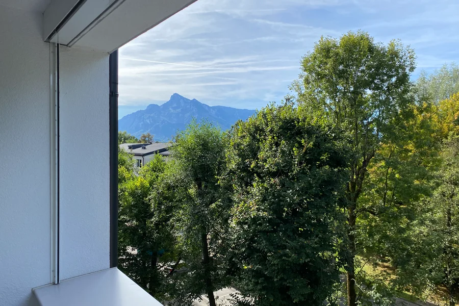 Untersberg und Baumkronen