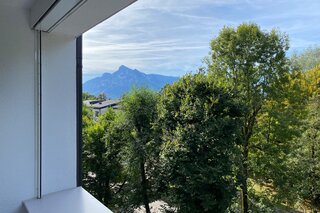 Untersberg und Baumkronen