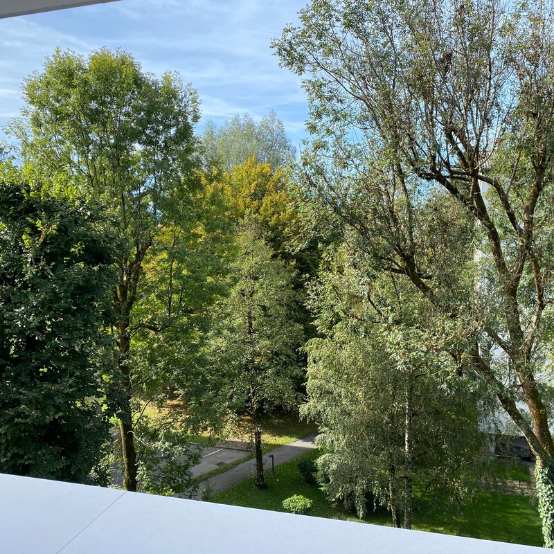 Vogelgezwitscher statt Autolärm! | © UHG