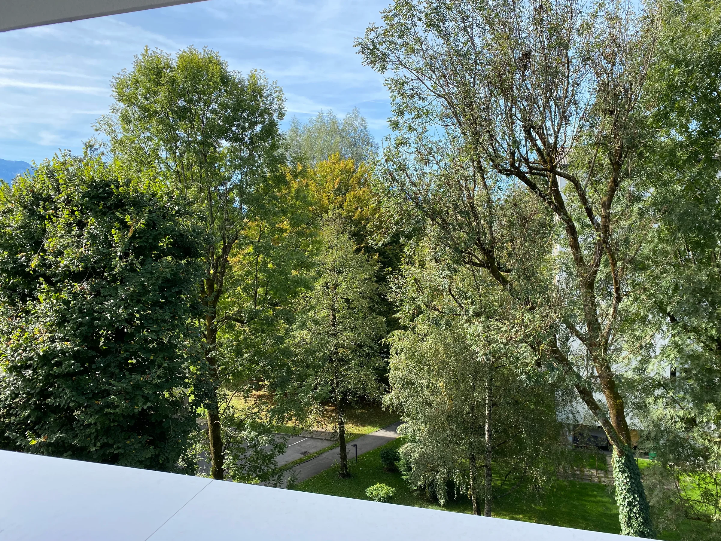 Vogelgezwitscher statt Autolärm! | © UHG