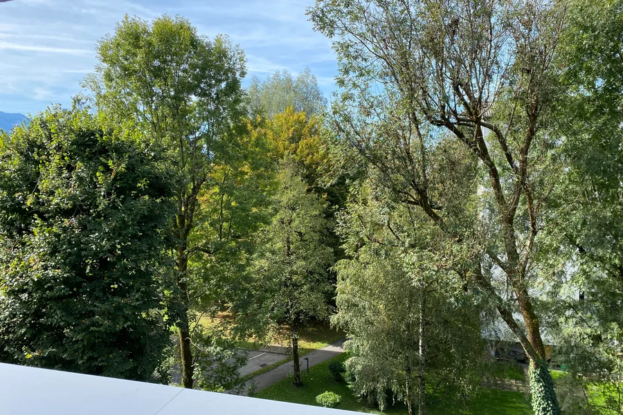 Vogelgezwitscher statt Autolärm! | © UHG