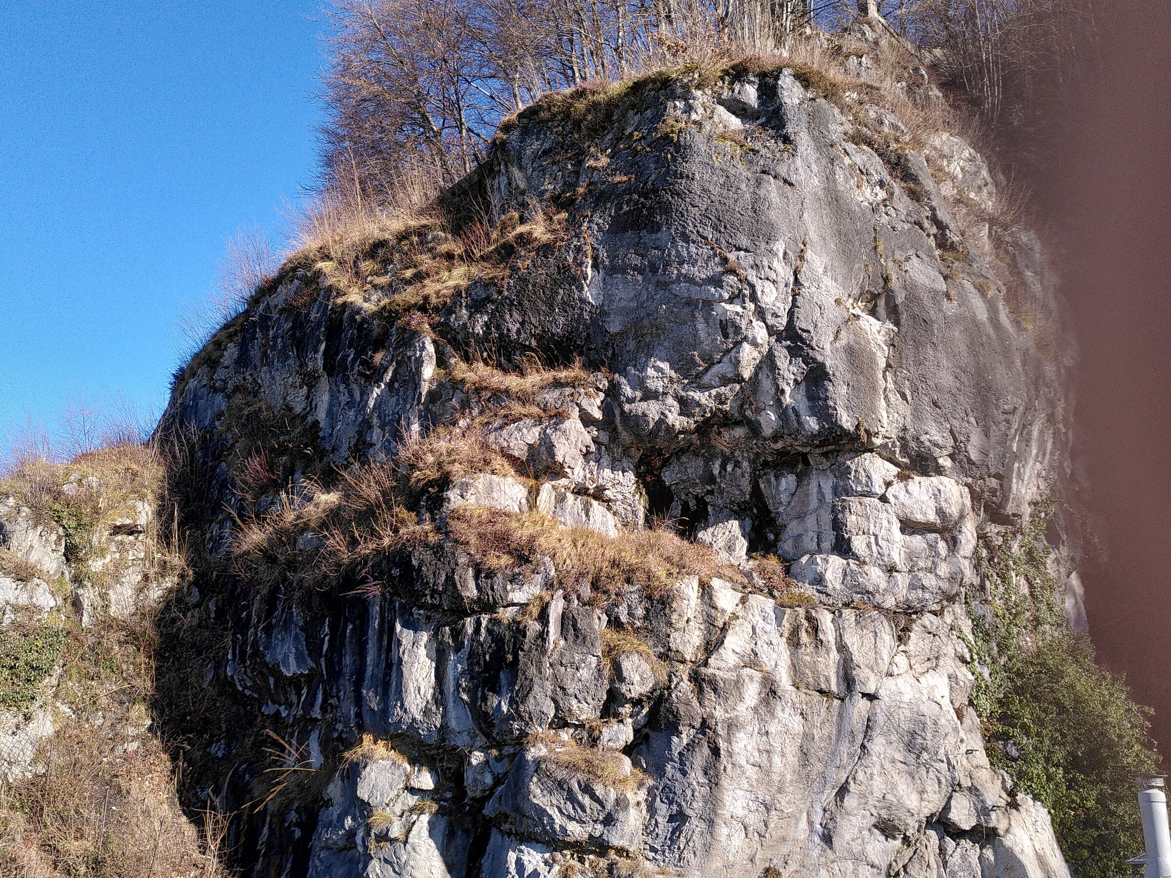 Manchmal schaut eine Gemse beim Frühstück zu | © Maria Melnitzky-Ekhator