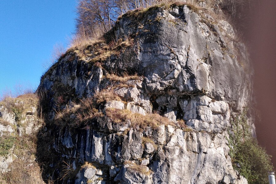 Manchmal schaut eine Gemse beim Frühstück zu | © Maria Melnitzky-Ekhator