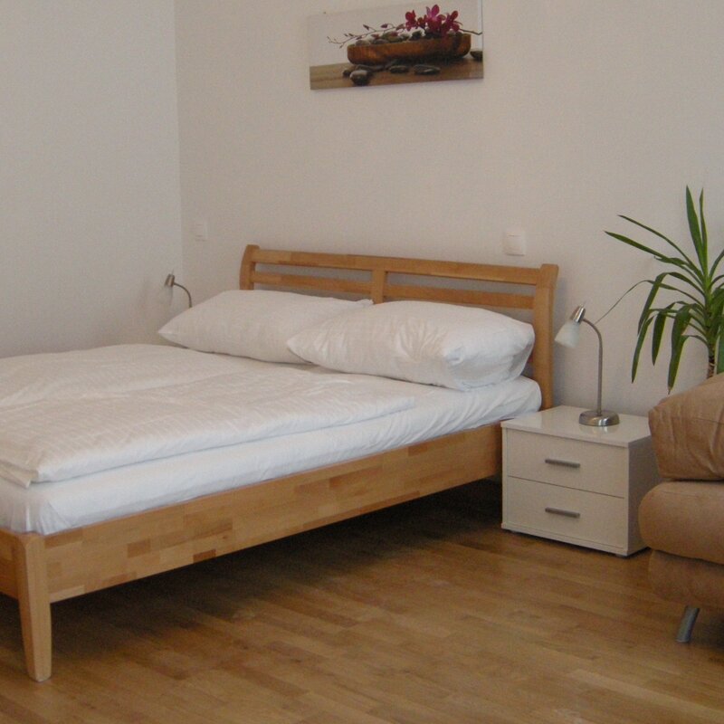 Wohn/Schlafzimmer