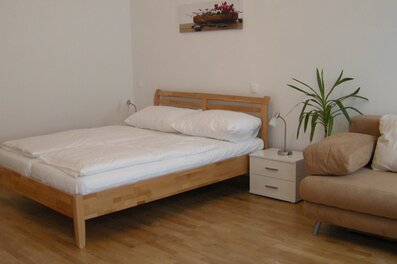 Wohn/Schlafzimmer